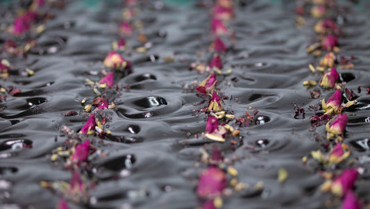 Spa Facial Treatment Bar